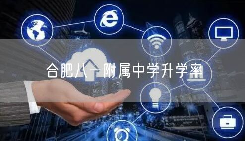 合肥八一附属中学升学率 合肥八一附属中学升学率