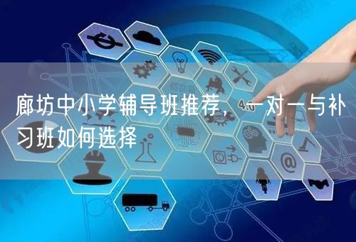 廊坊中小学辅导班推荐,一对一与补习班如何选择 廊坊中小学辅导班推荐,一对一与补习班如何选择