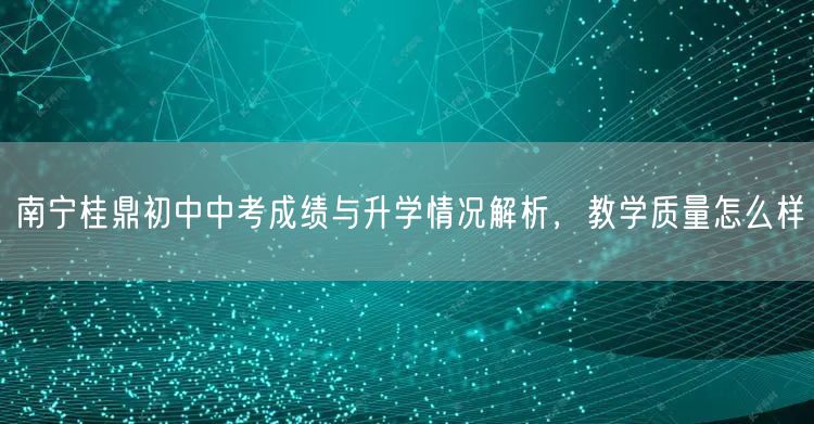 南宁桂鼎初中中考成绩与升学情况解析，教学质量怎么样