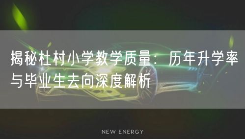 揭秘杜村小学教学质量:历年升学率与毕业生去向深度解析 揭秘杜村小学教学质量:历年升学率与毕业生去向深度解析