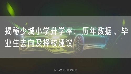 揭秘少城小学升学率：历年数据、毕业生去向及择校建议