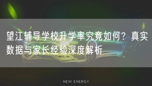 望江辅导学校升学率究竟如何?真实数据与家长经验深度解析 望江辅导学校升学率究竟如何?真实数据与家长经验深度解析