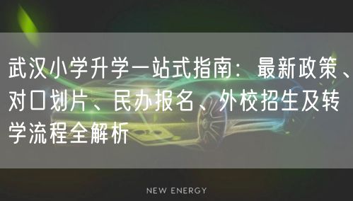 武汉小学升学一站式指南：最新政策、对口划片、民办报名、外校招生及转学流程全解析
