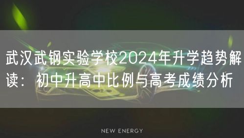 武汉武钢实验学校2024年升学趋势解读：初中升高中比例与高考成绩分析