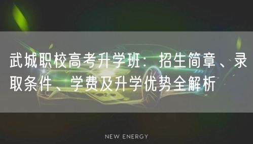 武城职校高考升学班:招生简章、录取条件、学费及升学优势全解析 武城职校高考升学班:招生简章、录取条件、学费及升学优势全解析