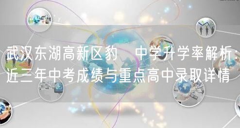 武汉东湖高新区豹澥中学升学率解析：近三年中考成绩与重点高中录取详情